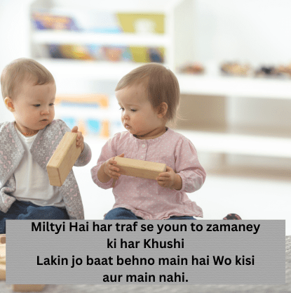 Sister Shayari in Hindi 2 line