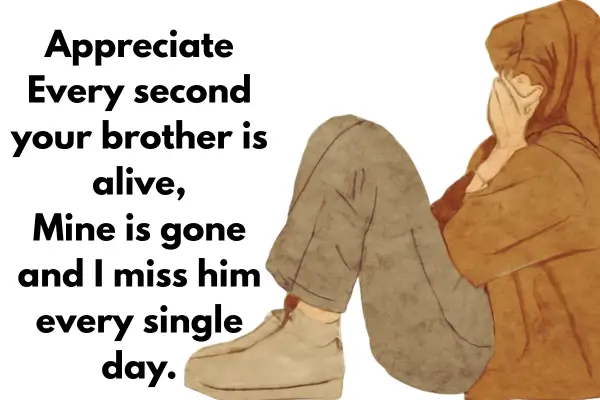 Latest 2 Line Bada Bhai Shayari in Hindi - Brother Shayari 10 Miss You Bhai Shayari 😭 In Hindi: