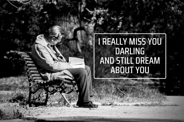 1000+ Sad Love Shayari In English