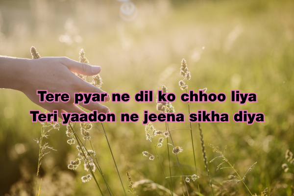 Pyar Bhari Shayari in Hindi & Roman English 11 Pyar Bhari Shayari