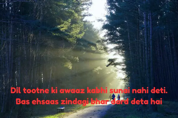 100+ Sad Shayari in English for Life 2 Sad Shayari in English for life 2025