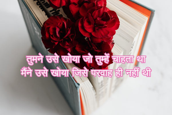 Top 100+ Bewafa Shayari in English 7 तुमने उसे खोया जो तुम्हें चाहता था मैंने उसे खोया जिसे परवाह ही नहीं थी