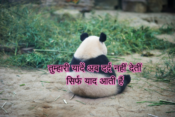 Top 100+ Bewafa Shayari in English 9 तुमने प्यार की शुरुआत की पर निभा ना पाए हमने दिल से चाहा तुम्हें पर तुम वफ़ा दिखला ना पाए 1