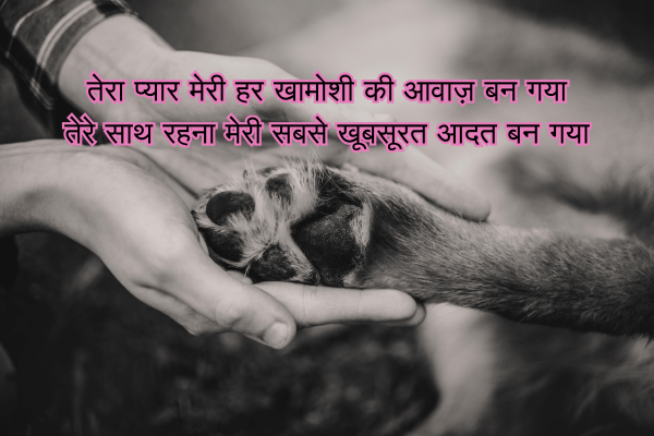 Pyar Bhari Shayari in Hindi & Roman English 5 Pyar Bhari Shayari