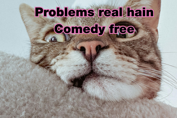 best Funny Shayari in English 5 Funny Shayari in English