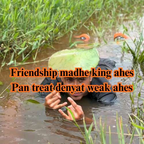 199+ Funny Fish Pond Quotes in Marathi 2026